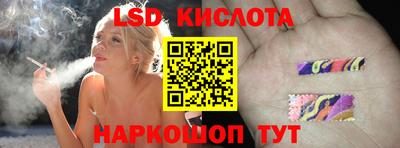гидра Тверь