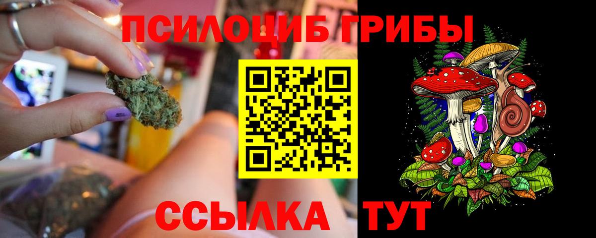 купить наркоту  Галлюциногенные грибы Cubensis  Псилоцибиновые грибы прущие грибы  Вход с VPN  Новый Уренгой 