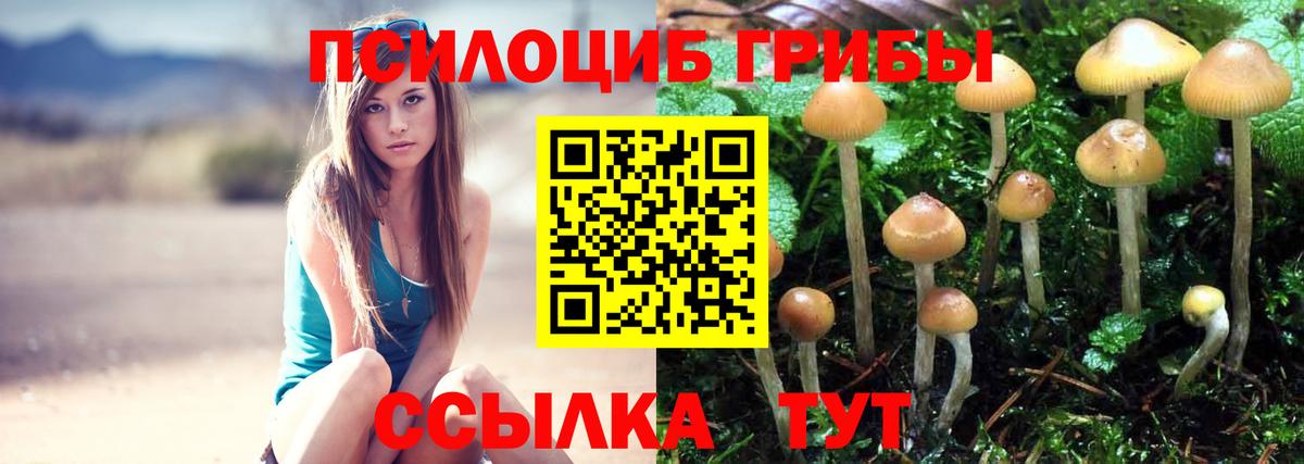 Псилоцибиновые грибы мицелий Новый Уренгой